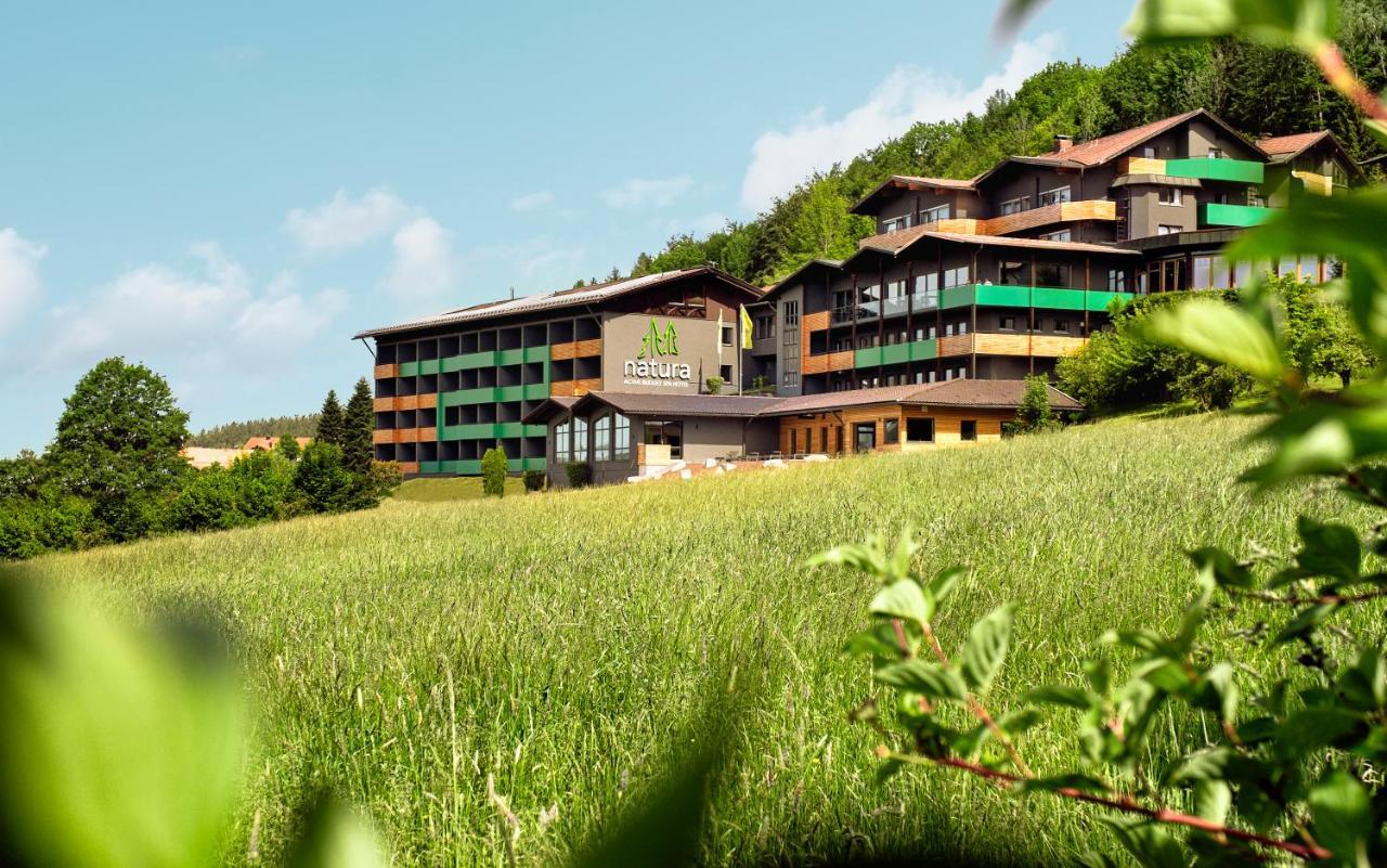 Natura Hotel Bodenmais - Inkl Soft- Und Heissgetraenkeflat Εξωτερικό φωτογραφία